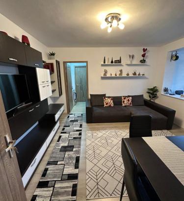 Lupeni Apartment | Straja Braii Apart