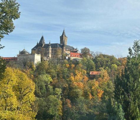 Wernigerode Apartment | Studio Blick zum Schloss Wernigerode