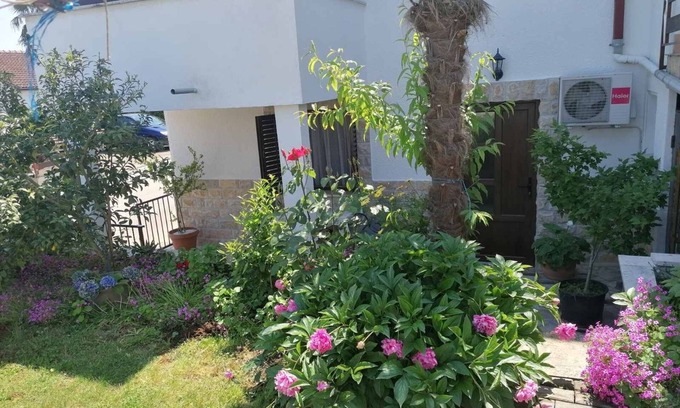 Dajla Apartment | Studio flat with terrace Dajla, Novigrad (AS-6935-a)