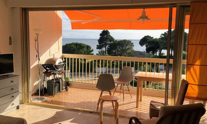 Coggia Apartment | STUDIO with magnificent Terrace SAGONE - 20118