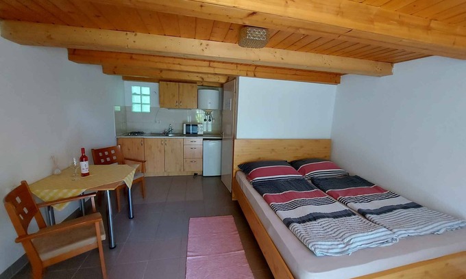 Balatonfoldvar Apartment | Studio with shady garden, washing machine and internet