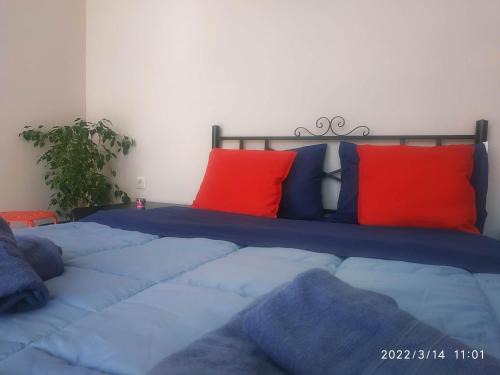 Korithion Apartment | STUDIOS POSEIDONIA apartments 50 & 70 sqm with sea view