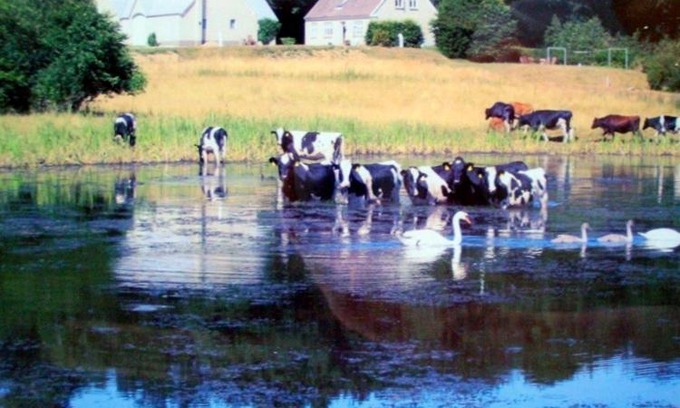 Bredsten Bed & Breakfast | Stunning Holiday Home in Bl vand with Sauna