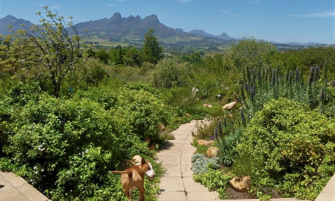 Raithby Other | Stunning Mountain and Sea views in the Cape Winelands