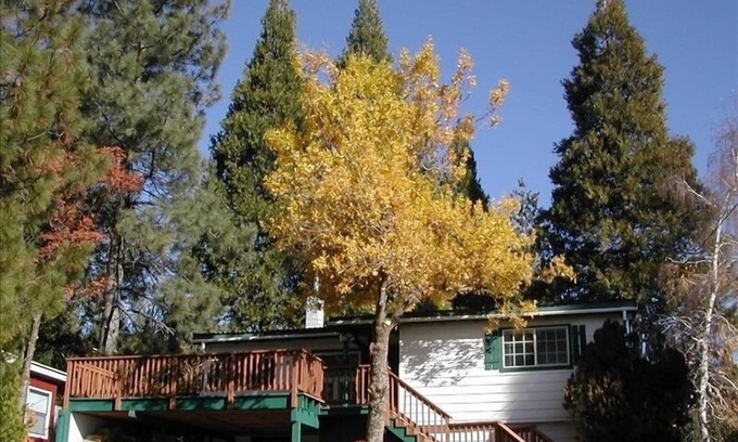 Mount Shasta Cabin | Stunning views of Shasta