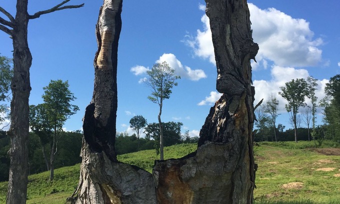 Colrain Other | Stunning views on 545 acres at end of dirt road