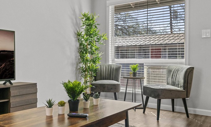 Zilker Apartment | Stylish 1BR Zilker Evonify