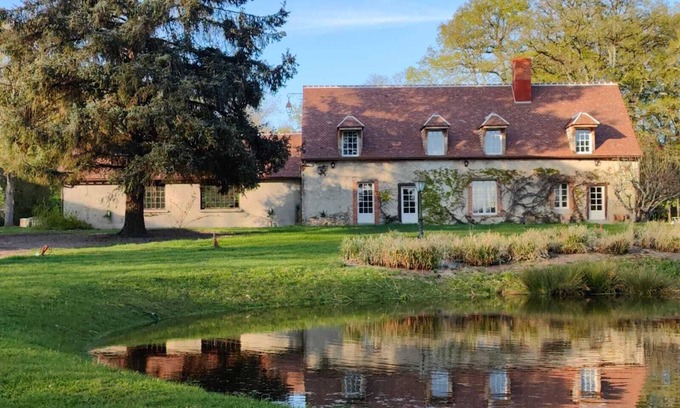 Vierzon Hotel | Sublimes hébergements en coeur de forêt