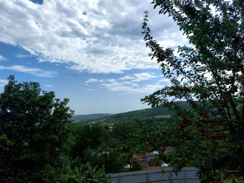 Azerbaijan Apartment | Sulut Guest House