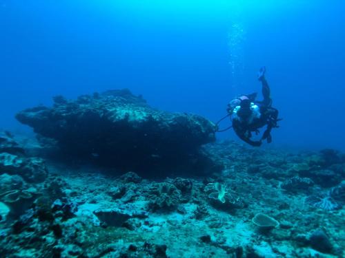 Desa Wula Other | Sumba Adventure Resort