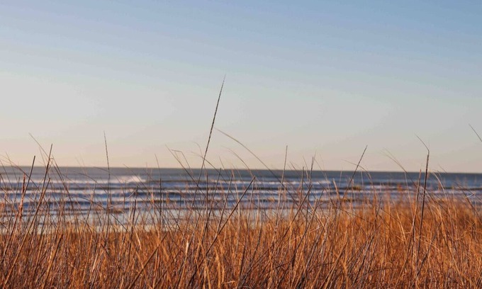 Westport Apartment | Sunset Shores - Oceanfront Stay