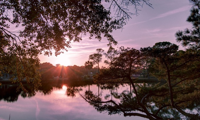 Folly Beach House | SunsetShack Folly Beach House on Pond -PET FRIENDLY-1 Block to beach