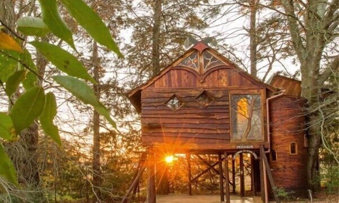 Mooirivier House | Sycamore Avenue Treehouses