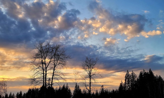 Maple Ridge House | Take it easy at this tranquil getaway Kanaka Springs ,nature lovers paradise.