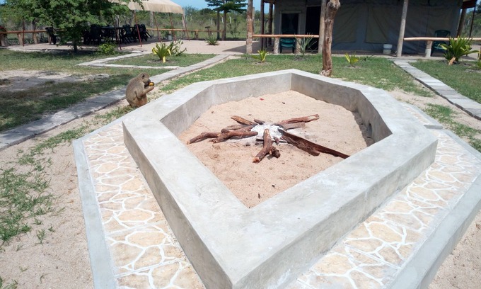 Saadani National Park Other | Tanganyika Coastal Campsite