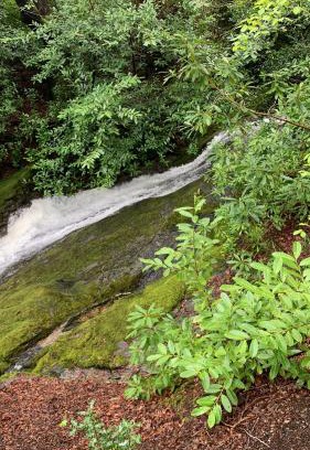 Newcastle House | Tastefully restored cottage