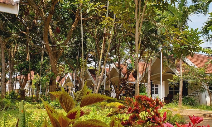 Tosari Hotel | Tengger Guest House