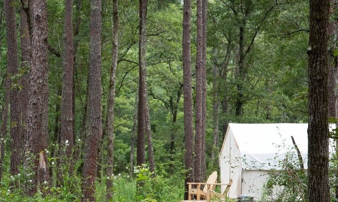 Florence RV Rental | Tentrr Signature Site - The Woods at Black Creek - The Swamp Fox