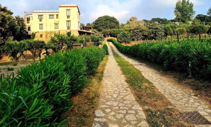 Licola Hotel | Tenuta Convivium Cuma