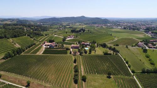 Corno di Rosazzo House | Tenuta Perusini