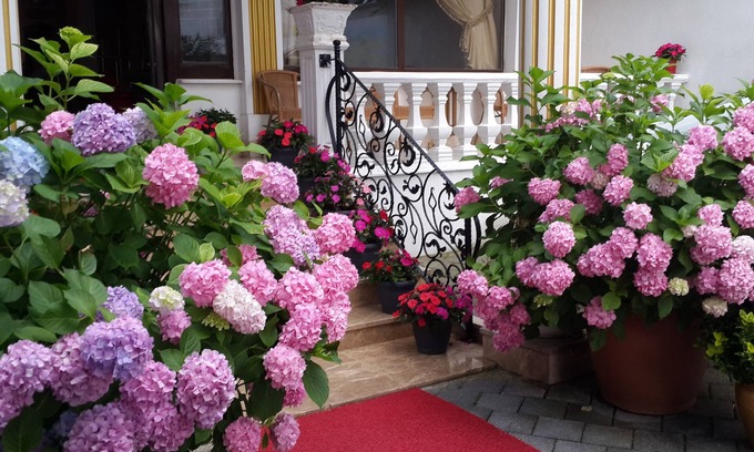 Gokcedere Hotel | Termal Elit Hotel