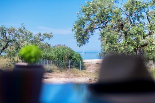 Potos House | Terra di Olive Thassos