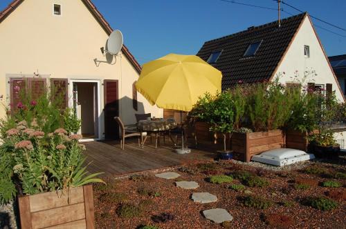 Mußbach Apartment | Terrassenwohnung
