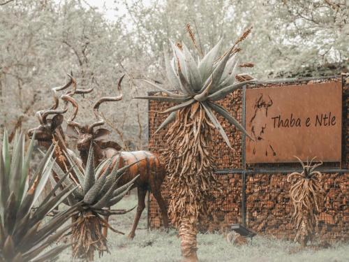 Thabazimbi Other | Thaba eNtle Private Boutique Game Farm