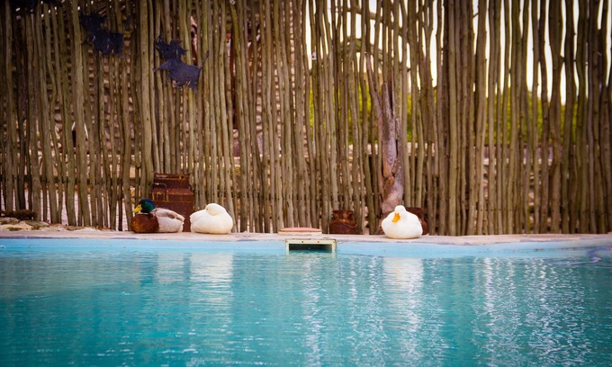 Saldanha Bay Cabin | Thali Thali Game Lodge