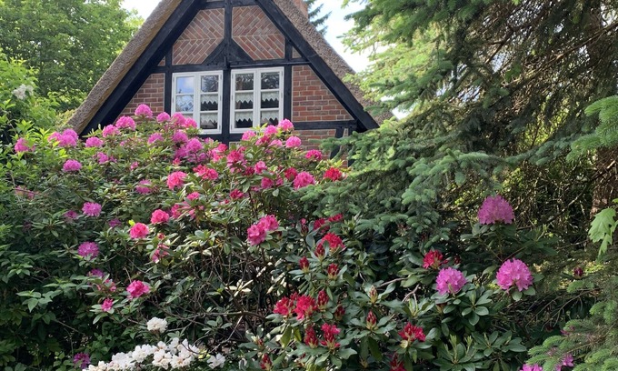Sankt Dionys House | Thatched roof house - Heath village St. Dionys near Lüneburg-https:/youtu.be/xg4TJK1gvxU