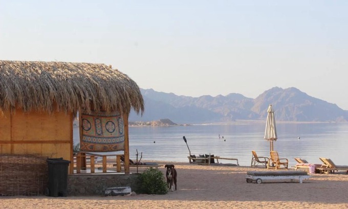 Nuweiba Villa | The Bedouin Life with Eid Ali - Standard Double room 2n