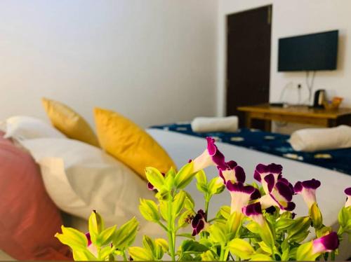 Morjim Resort | The Bodhi Tree Resort