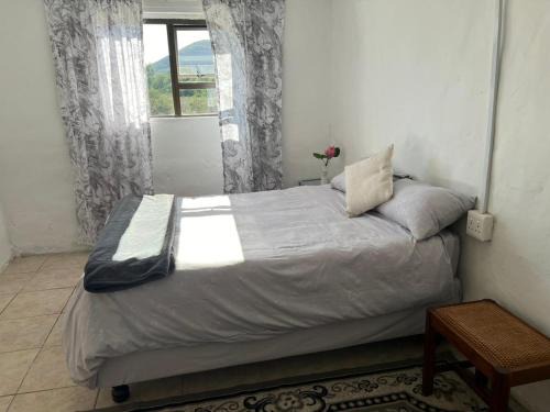 Nkonkobe Apartment | The Calvert