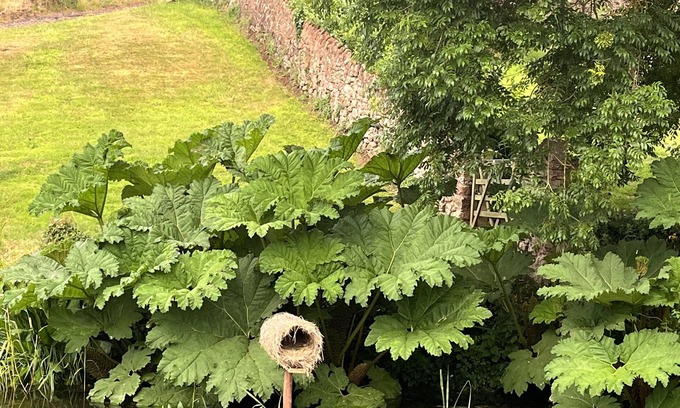 Staplefield Cottage | The Coach House