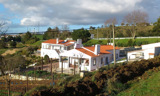 Arraiolos Other | The colors of the Alentejo in Arraiolos