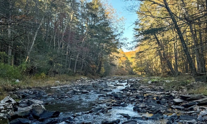 Mount Marion Apartment | The Creek House - Secluded Stay 10min to Woodstock & Saugerties