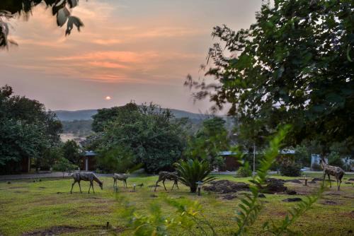 Gavhe Resort | The Fern Samali Resort
