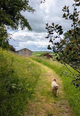 Abergele Other | The Fold - Unique Cabin Nestled in Nature