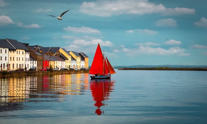 Galway City Centre House | The Herons Rest Townhouse B&B