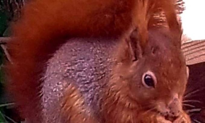 Pen-y-sarn Apartment | The ideal quiet retreat and a good base for all walking and activity amenities