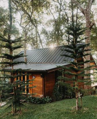 Doi Saket Resort | The Jungle Touch