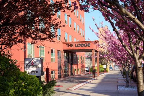 Red Hook Hotel | The Lodge Red Hook