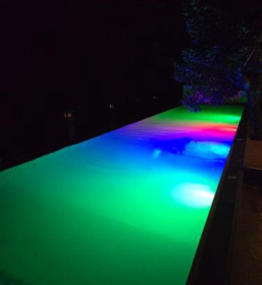 Real Resort | The Mangrove Tree Boutique Beach Resort