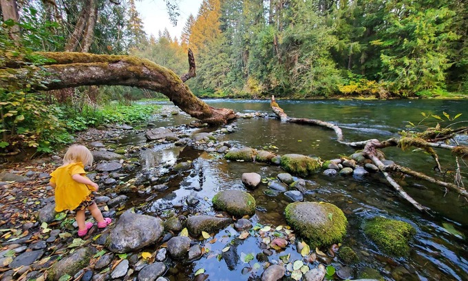 McKenzie Bridge Cottage | The North Bank Cabin,100ft private McKenzie Riverfront, Grill, 20min to Falls