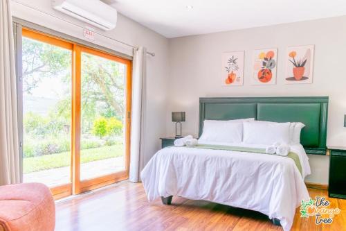 Alkmaar House | The Orange Tree Guest House