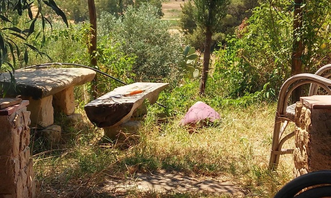 Castelvetrano Other | The "organic" Hospitality by Zu Federicu