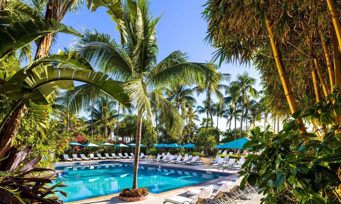 Mid Beach Hotel | The Palms Hotel & Spa