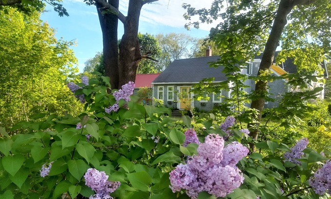 Rockland Cottage | The Perch - Walk to Town & the Ocean - Rockland License STR25-53