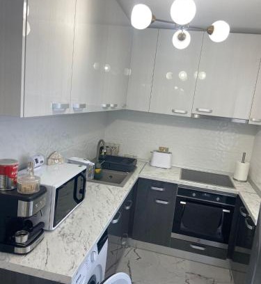 Satu Mare Apartment | The performant