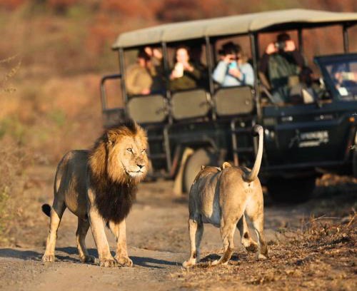 Ladysmith Cabin | The Springbok Lodge